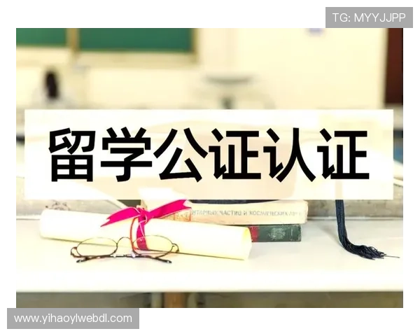 壹号官网入口下载操作流程详解，助你顺利完成软件安装与使用